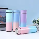 Gradient LED Smart Temperature Bottle – 500ml Stainless Steel Thermos Flask | Touch Display Vacuum Insulated Water Bottle for Hot & Cold Drinks